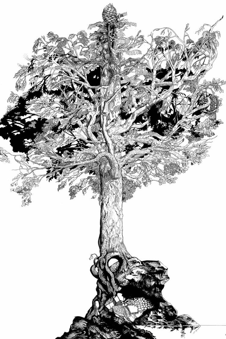 Phi Tree