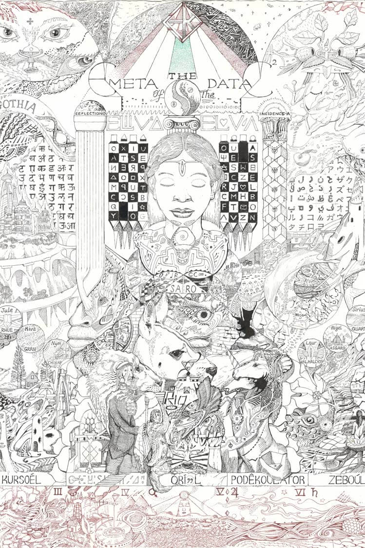 The MetaData of the Elva Elva